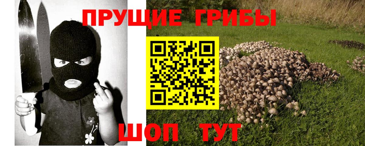 Заволжье  Галлюциногенные грибы мицелий  Вход с VPN  Псилоцибиновые грибы Magic Shrooms 